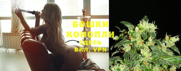 не бодяженный Вяземский