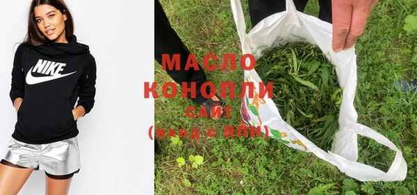 индика Володарск