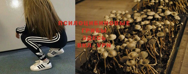 не бодяженный Вяземский